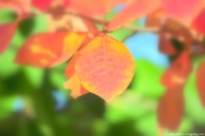 By the amazing Jennifer Upton