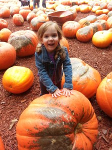 2013-10-19 14.33.56-1